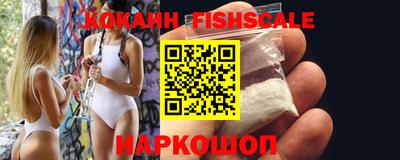 гашик Кингисепп