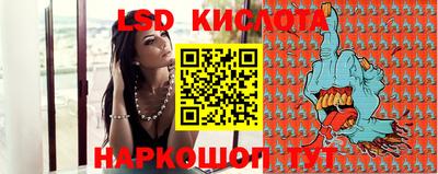 гашик Кингисепп