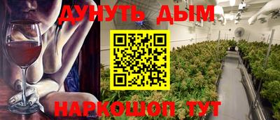 гашик Кингисепп