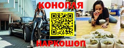 гашик Кингисепп