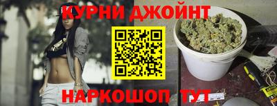 гашик Кингисепп