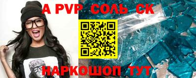 гашик Кингисепп