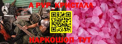гашик Кингисепп