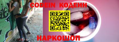 гашик Кингисепп