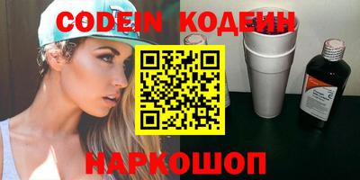 гашик Кингисепп