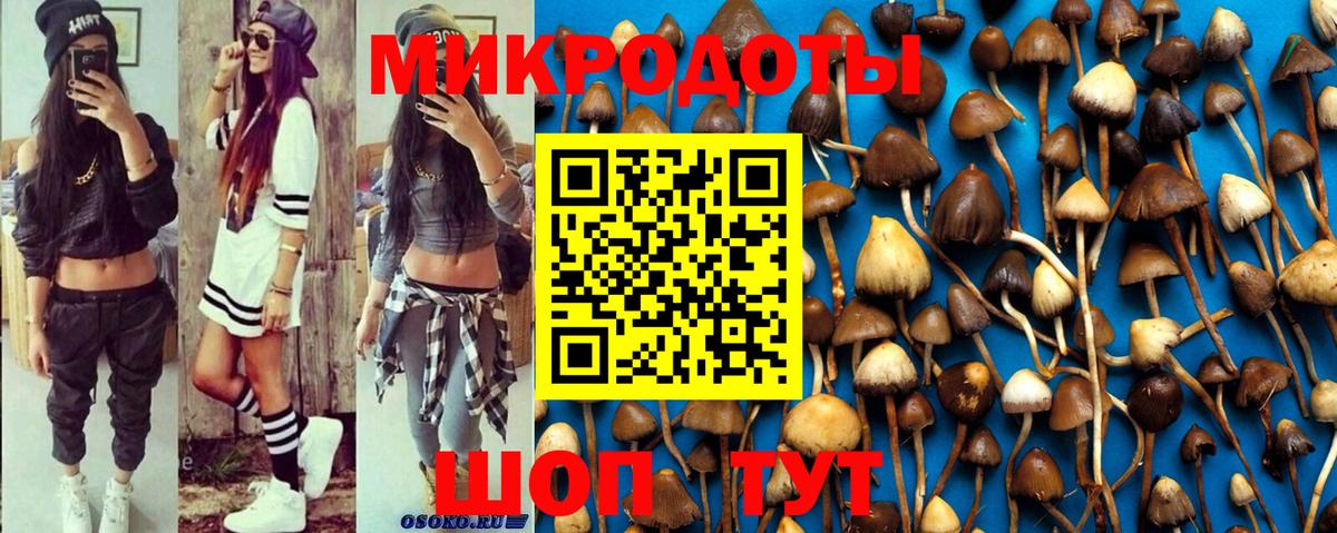 Галлюциногенные грибы MAGIC MUSHROOMS Волоколамск