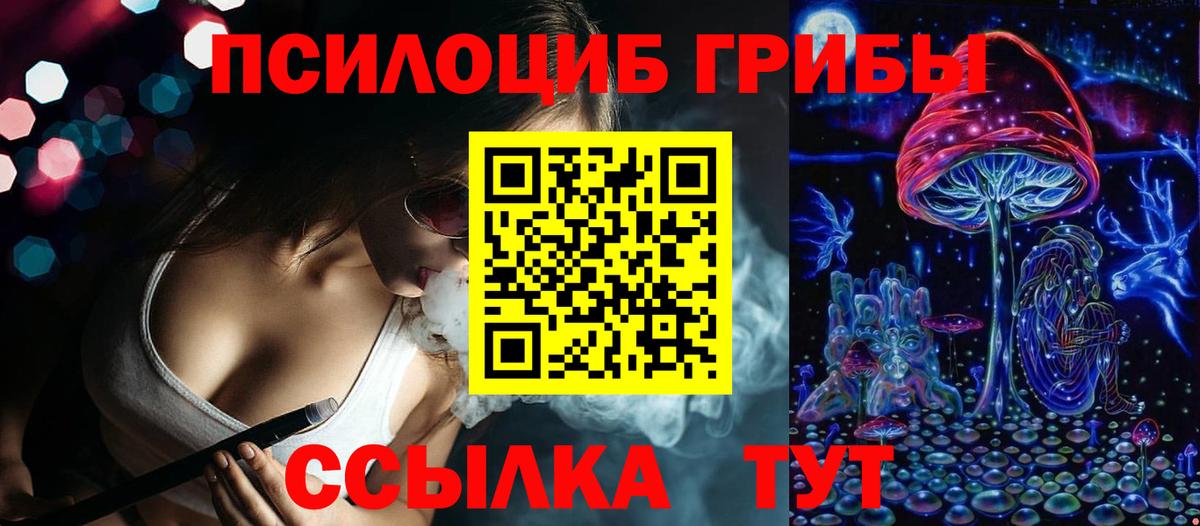 Псилоцибиновые грибы MAGIC MUSHROOMS  Вход с VPN  Волоколамск 
